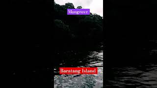 Baratang Island baratang shorts island andaman minivlog [upl. by Aisorbma]