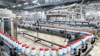 Fabrication du lait en poudre  Usine moderne de traitement du lait en poudre Food Factory 🥛 [upl. by Bogoch567]