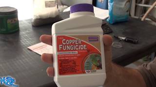 ⟹ Copper fungicide  Bonide  Product overview [upl. by Kcirdet760]