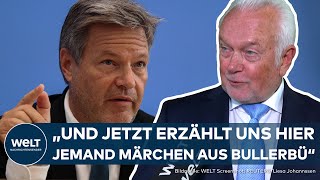 DEUTSCHE WIRTSCHAFT quotJeden Monat wird die Situation schlimmerquot  Kubicki schießt gegen Habeck [upl. by Ede]