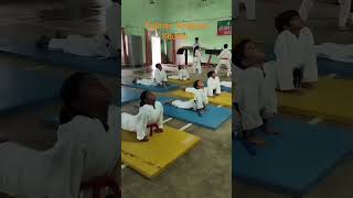 karate belt test Red to mahrum martial artkarate belt Fighter Aradhya Shukla [upl. by Cheyney619]