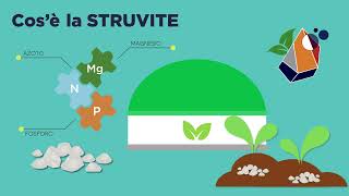 Presentazione del progetto Struvite [upl. by Assirac]