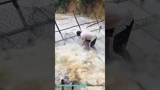 Terrific fishing amazing fishing trap catching downstream fish fishing netsfishing [upl. by Bathesda]