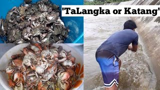 Ep 79 quotTaLangka or KaTangquot  Catch and Cook  Biyaya nang Baha [upl. by Daphne880]