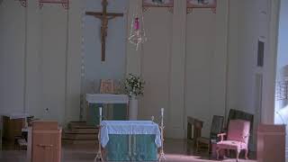 July 29 2024 at 800 am Catholic Mass from Our Lady of Peace in Vacherie LA [upl. by Rodl]