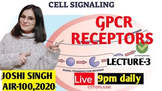 Rhodopsin Gprotein coupled receptor cell signaling cell biology lecture24 [upl. by Vogele73]