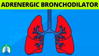 What is an Adrenergic Bronchodilator 💊  Medical Definition [upl. by Eimmat]