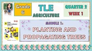 TLE 6  AGRICULTURE MODULE 1 QUARTER 2 WEEK 1  PLANTING AND PROPAGATING TREES [upl. by Jaddo]