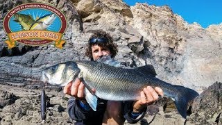 Summer Holiday Bass Fishing In Portugal Pt 1 How to catch bass on lures keep your marriage intact [upl. by Berlyn]