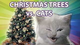 Cats And Christmas Tree █▬█ █ ▀█▀ [upl. by Aicatsue]