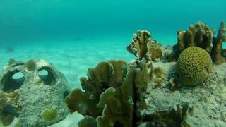 Snorkelen op Curacao Porto Marie [upl. by Primrose203]