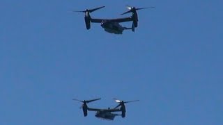 Three V22 Osprey Flyby New York City  Coney Island [upl. by Yarrum]