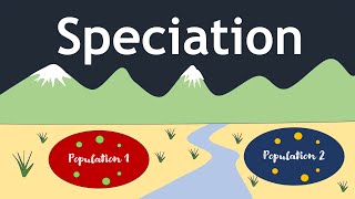 Speciation The Evolutionary Process  Basic Science Series [upl. by Aital]