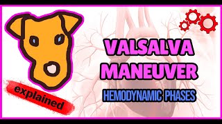 Physiology Hemodynamics of a Valsalva maneuver [upl. by Eppesuig121]