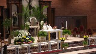 St Matthew Mass Livestream [upl. by Ayaj217]