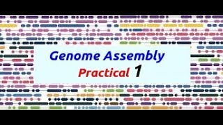 Genome Assembly Practical Part 1 [upl. by Gnod]