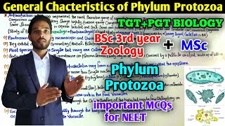 General Characteristics of Phylum Protozoa  BSc 3rd year Zoology  MSc  PGT Exam Preparation [upl. by Howey308]