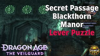 Secret Passage Lever Puzzle in Blackthorn Manor Sacrifice of Souls in Dragon Age The Veilguard [upl. by Spoor]