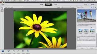 Quick and Guided Edit Mode in Photoshop Elements 12 [upl. by Nolan6]