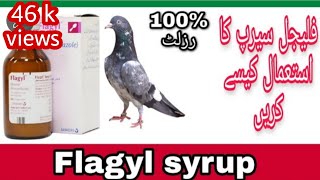 How to use flagyl syrup for pigeonsMajid pigeon care [upl. by Waterman]