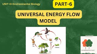 Universal Energy Flow Model  Environmental science [upl. by Kokaras]