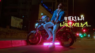 Aslam Tz  Wakuniliza Official Video Lyrics [upl. by Nodnol398]