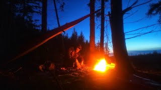 4 Days Solo Bushcraft  Tarp Fire Outdoor Cooking Carving Tomahawk Handle Shovel Knife Throwing [upl. by Abraham]