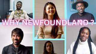 New Canadians Talking About Newfoundland [upl. by Popele742]