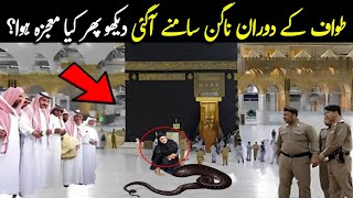 Khana Kaba Main Tawaaf kay Doran Nagin Agaey To Kya Mojza Huwa  Mojza TV Official [upl. by Chessa51]