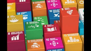 Agenda 2030 a che punto siamo [upl. by Avahc]