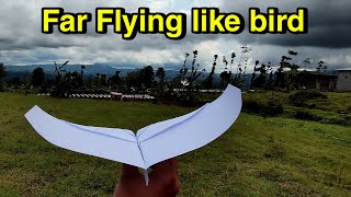 HOW TO MAKE THE FARTHEST FLYING PAPER AIRPLANE  Best Paper airplane BIRD [upl. by Eelra761]