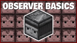 Minecraft Observer Basics  How to Use Observers [upl. by Oinotnanauj]