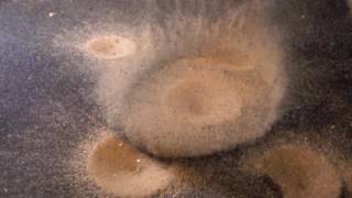 Impact crater formation in slow motion 38 [upl. by Corrie]