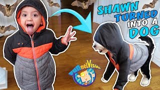 SHAWN turns into PUPPY Oreo  Secret Bat Cave Hideout FUNnel Family Vlog [upl. by Northway]