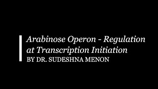 Arabinose Operon Regulation at Transcription Initiation [upl. by Legra]