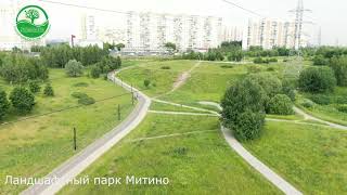 ЛАНДШАФТНЫЙ ПАРК МИТИНОЛЕТО 2019 [upl. by Daveta279]