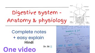 Complete Digestive System  Anatomy amp Physiology notes in one video  hindi  easy explanation [upl. by Nataline]