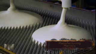 Pure Talalay Bliss The Manufacturing Process [upl. by Ahseihs]