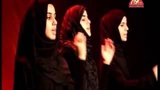 Ya Hussain Hussain Hashim Sisters New 201314 Noha [upl. by Sehguh298]