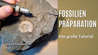 Das große Einsteigertutorial  FossilienPräparation [upl. by Ellerahc]