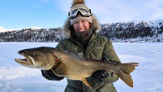 Lake Trout for Dinner  Alaskas Public Use Cabins [upl. by Eileen148]