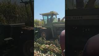 Silage season 2024dairyfarming farmall [upl. by Imoian]