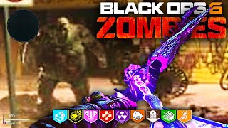 Black Ops 6 Zombies Gameplay Leaks All Perks Bosses Field Upgrades Augments Easter Eggs Items [upl. by Nylirak]