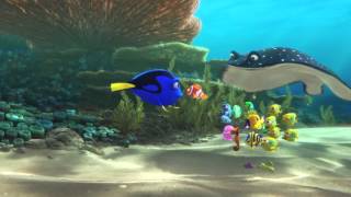 Finding Dory – Teaser Trailer – Official Disney Pixar  HD [upl. by Lenoil365]