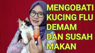 MENGOBATI KUCING FLU DEMAM DAN SUSAH MAKAN CUMA PAKAI INI DI JAMIN SEMBUH [upl. by Janette]