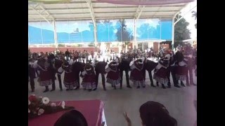 Secundaria 11 de Torreón Polkas de Chihuahua 2015 [upl. by Flowers]