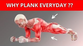 What Happens To Your Body When You Plank 1 Minute Every Day [upl. by Belamy783]