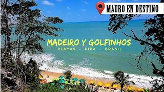 Madeiro y Golfinhos  Pipa  Brasil  Mauro en Destino [upl. by Ellak]