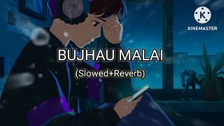 BUJHAU MALAI slowed  Reverb Sushant Ghimire Nepali lofi song [upl. by Redlac]