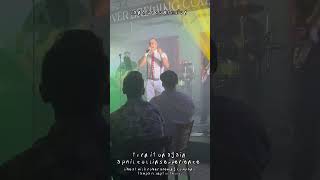 Land Of Confusion live at Wild Rover Brewing Company Tampa FL Sept 20th 2024 [upl. by Nisotawulo]